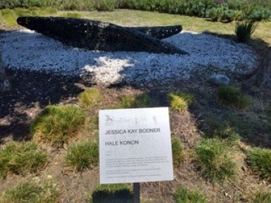 Hale Konon by Jessica Bodner