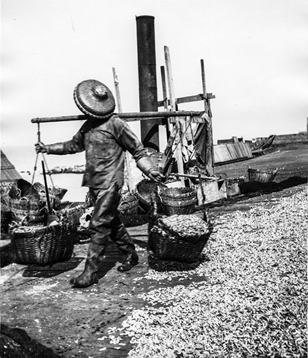 Chinese_shrimp_worker